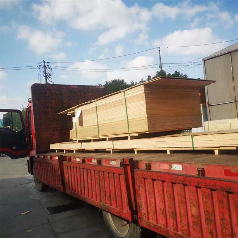 江西赣州定南县至塔城货运专线，一站式物流服务助您成功